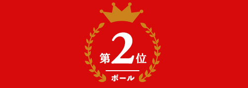 ゴルフボール部門 第2位