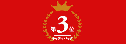 キャディバッグ部門 第3位