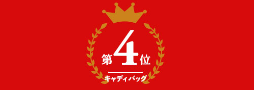 キャディバッグ部門 第4位