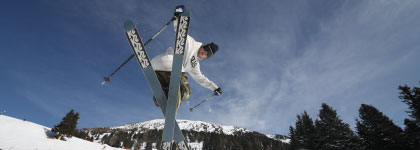 スキー フリースタイルスキーモデル