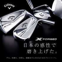 X FORGED MAX アイアン