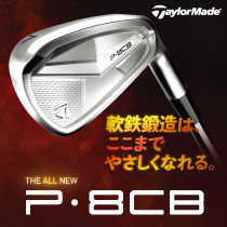 P8CB アイアン