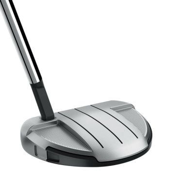 テーラーメイド　Spider GT ROLLBACK スパイダーGT ロールバック シルバー パター　スモールスラント 詳細2
