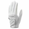 [2022年モデル] テーラーメイド レディース インタークロス 2.0 ゴルフグローブ TD309 N92996 WHITE/SILVER WHITE/SILVER（N92996）