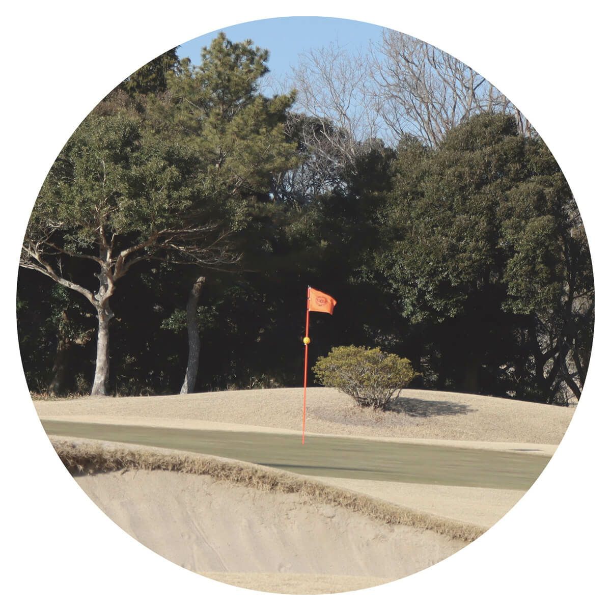 ビクセン Vixen　単眼鏡 レーザー距離計 VRF1000VZ　詳細9