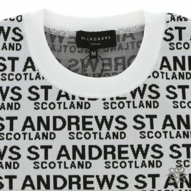 セントアンドリュース St ANDREWS　メンズ ロゴ配色 ダブルジャガード クルーネック 長袖 セーター 042-3170253　2023年モデル 詳細3