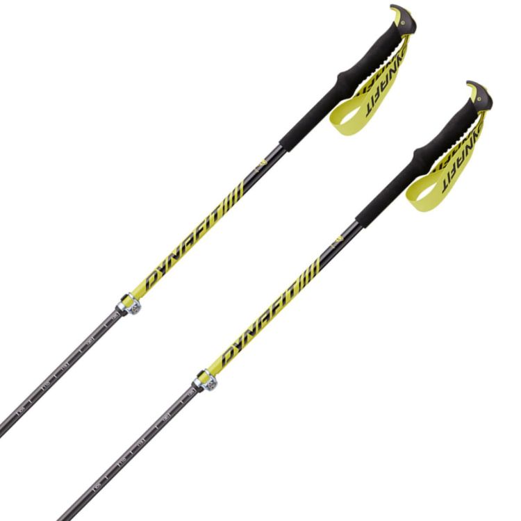 ディナフィット DYNAFIT Free Vario Pole フリー バリオ ポール スキー