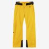 ゴールドウイン GOLDWIN　スキーウェア G-エンジニア レギュラー パンツ G-Engineered Regular Pants G34353R 2024-2025 LEMON