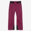 ゴールドウイン GOLDWIN　スキーウェア G-エンジニア レギュラー パンツ G-Engineered Regular Pants G34353R 2024-2025 PURPLE POTION