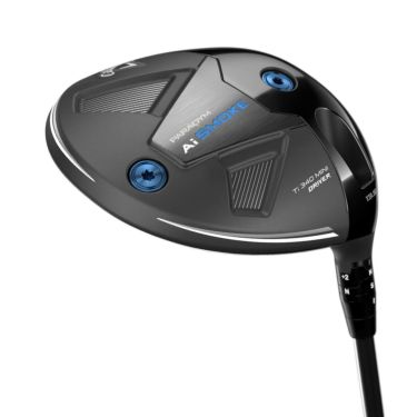 キャロウェイ　パラダイム Aiスモーク 340 ミニ ドライバー　TENSEI 60 for Callaway シャフト 詳細2