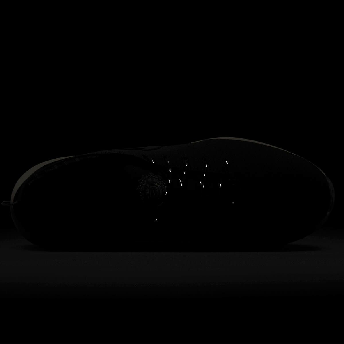 ナイキ NIKE　エア ズーム ビクトリー ツアー 3 NRG　メンズ ゴルフシューズ FQ8307 300　2024年モデル 詳細6