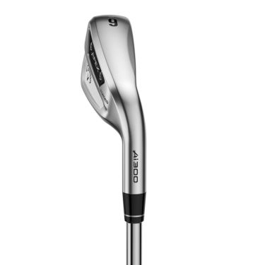 キャロウェイ　APEX Ai300 アイアン　6本セット（＃5～9、PW）　RECOIL DART 6 for Callaway カーボンシャフト　2024年モデル 詳細5