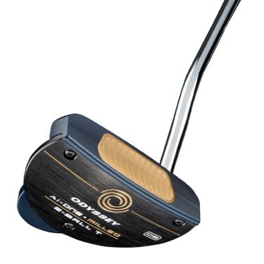 オデッセイ　Ai-ONE MILLED 2BALL T パター　STROKE LAB 90 シャフト　2024年モデル 詳細1