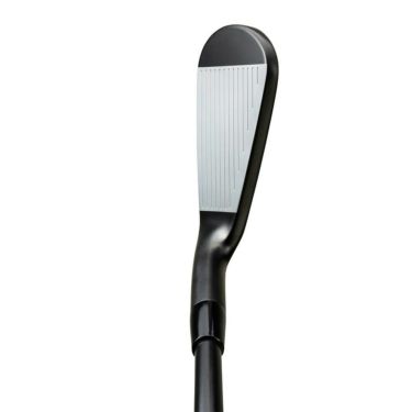 ミズノ　MIZUNO　JPX 925 FORGED Limited Black Edition アイアン　6本セット（＃5～9、PW）　ダイナミックゴールド105 ONYX BLACK スチールシャフト　2025年モデル 詳細2