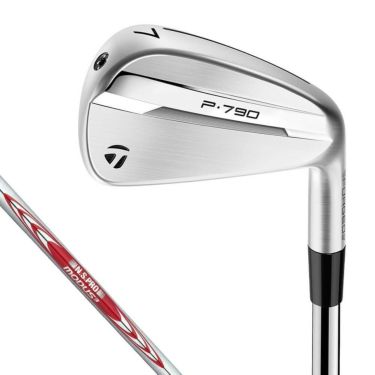 テーラーメイド　P790 アイアン 2025年モデル　5本セット（＃6～9、PW）　N.S.PRO MODUS3 TOUR 105 スチールシャフト 詳細1