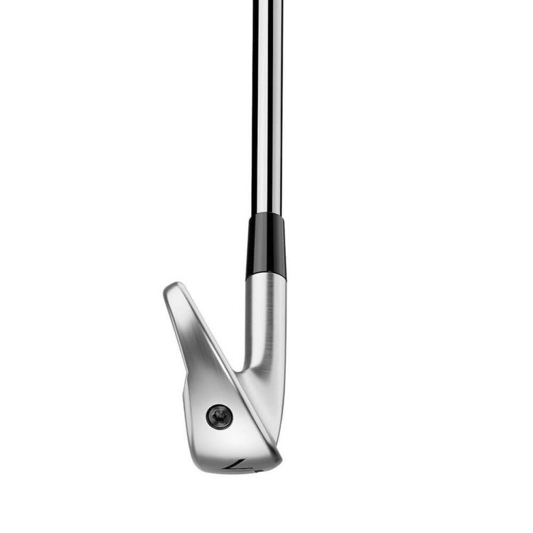 テーラーメイド P790 アイアン 2025年モデル 5本セット（＃6～9、PW