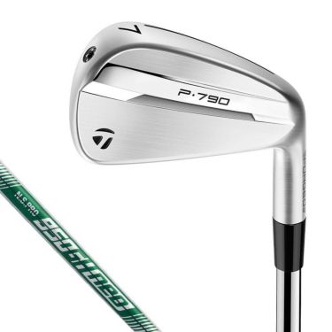 テーラーメイド　P790 アイアン 2025年モデル　5本セット（＃6～9、PW）　N.S.PRO 950GH neo スチールシャフト 詳細1