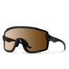 スミス Smith　Wildcat /CP Photo Brown+Clear ワイルドキャット スペアレンズ付き 調光 サングラス アジアンフィット  2025-2026 ONE SIZE