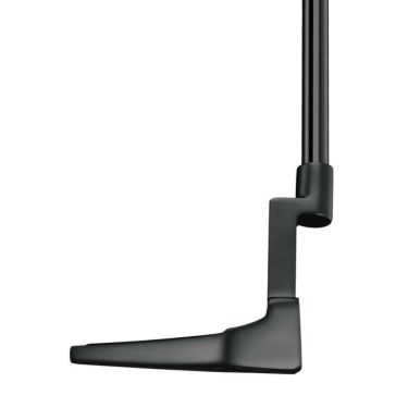 テーラーメイド　TPコレクション ブラック バンドン TM1 パター 詳細4