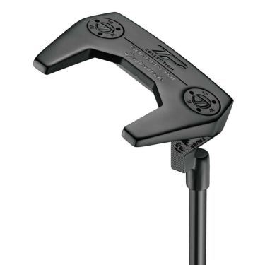 テーラーメイド　TPコレクション ブラック バンドン TM1 パター 詳細5