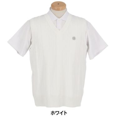 セントアンドリュース St ANDREWS　メンズ Vネック ニットベスト 042-5173251　2025年モデル 詳細5