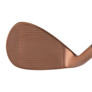 キャスコ　レディース ドルフィン ウェッジ DW-125G ピンクゴールド　PinkGold for LADIES Dolphin DP-231 シャフト 詳細3