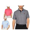フットジョイ FootJoy　メンズ スプレーミストプリント 半袖 ポロシャツ FJ-S25-S22　2025年モデル
