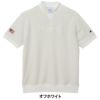 チャンピオンゴルフ ChampionGOLF　メンズ 半袖 モックネックシャツ C3-BG301　2025年モデル 詳細2