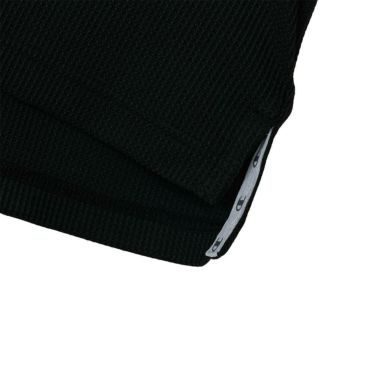 チャンピオンゴルフ ChampionGOLF　メンズ 半袖 ポロシャツ C3-BG302　2025年モデル 詳細4