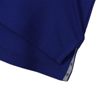 チャンピオンゴルフ ChampionGOLF　メンズ 半袖 ポロシャツ C3-BG302　2025年モデル 詳細8