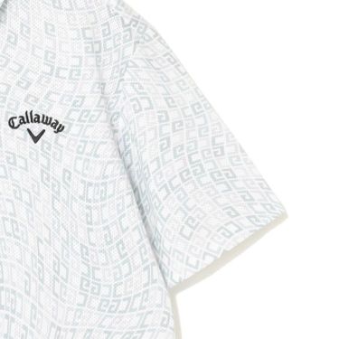 キャロウェイ Callaway　メンズ かざあなメッシュ ロゴプリント 半袖 ポロシャツ C25134120　2025年モデル 詳細4