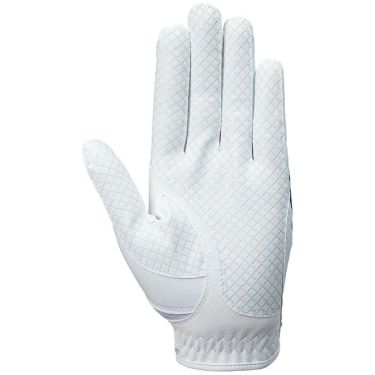 キャロウェイ　GRAPHIC グラフィック メンズ ゴルフグローブ 25 JM ホワイト/ブルー　2025年モデル 詳細1