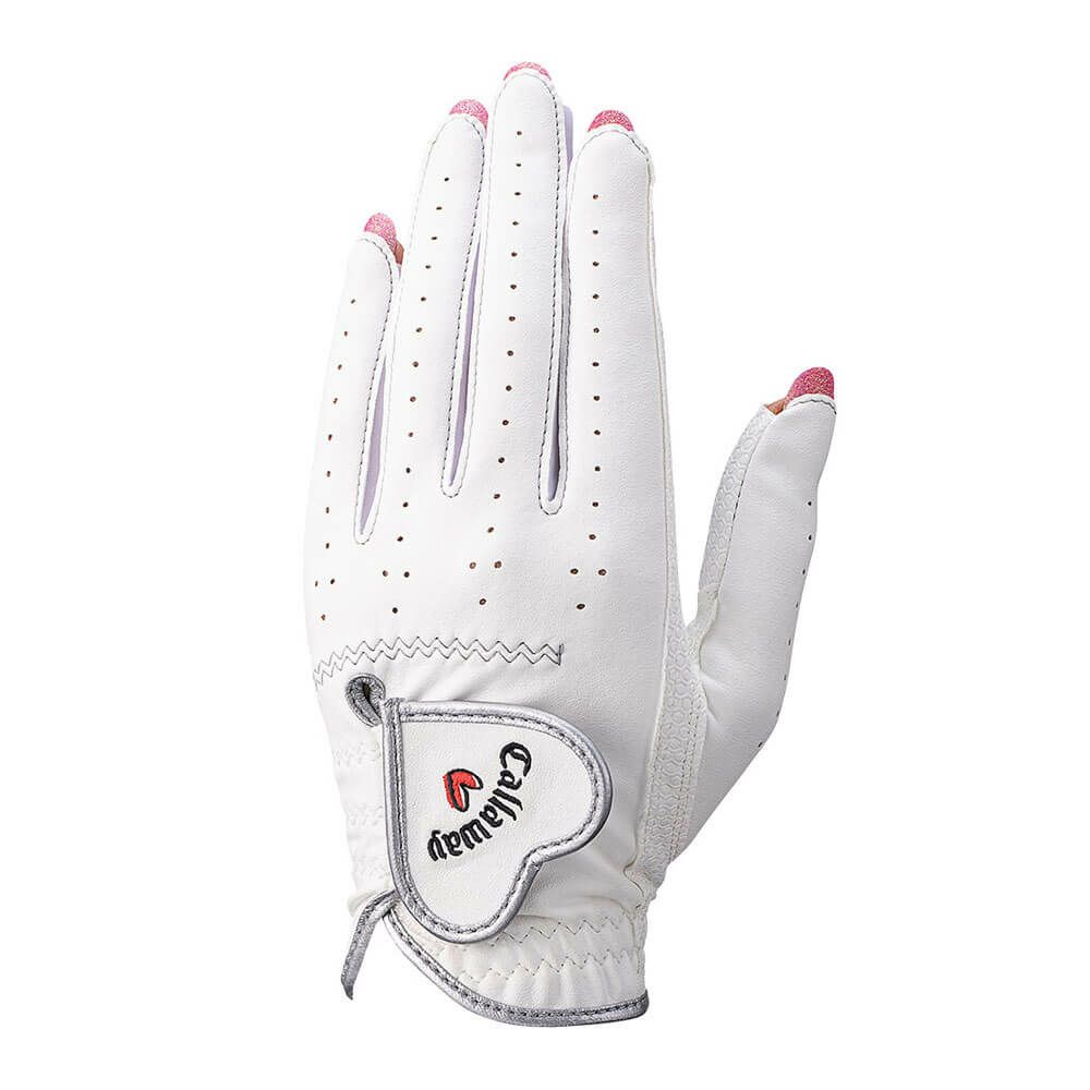 LEFC@NAIL DUAL WMS lC fA p fB[X StO[u 25 JM zCg@2025Nf