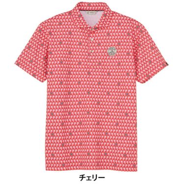 アンパスィ and per se　メンズ スイングドライプリンテッドピケ 半袖 ポロシャツ AMS9655X1　2025年モデル 詳細11