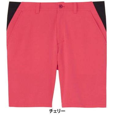 アンパスィ and per se　メンズ スイングドライWクロス ハーフパンツ AMS5515E4　2025年モデル 詳細11