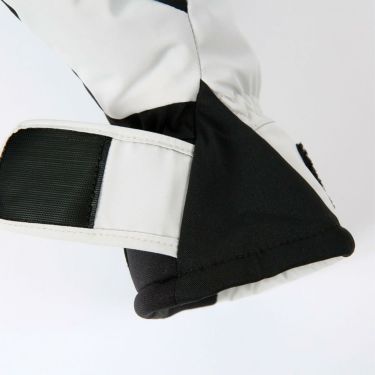 エビス eb's　OLGA 5 オルガ5 ICE　GORE-TEX ゴアテックス スキーグローブ 2025-2026 詳細7