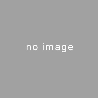 ボス BOSS　ハーフジップ 長袖 ポロシャツ 50533274 画像4
