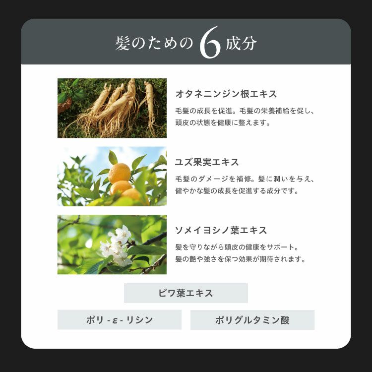 ZERO HOLE lab ゼロホールラボ 日焼け止めスプレー スカルプショット 50g SPF50+ PA++++ 紫外線対策 UVカット 詳細8