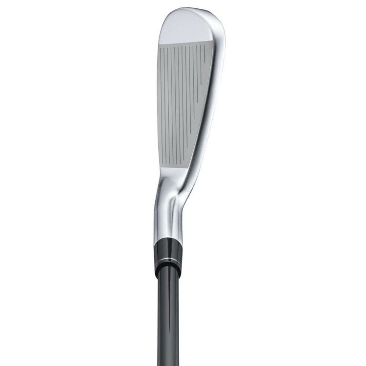 本間ゴルフ ベレス NX レディース アイアン 5本セット（＃7 10、SW