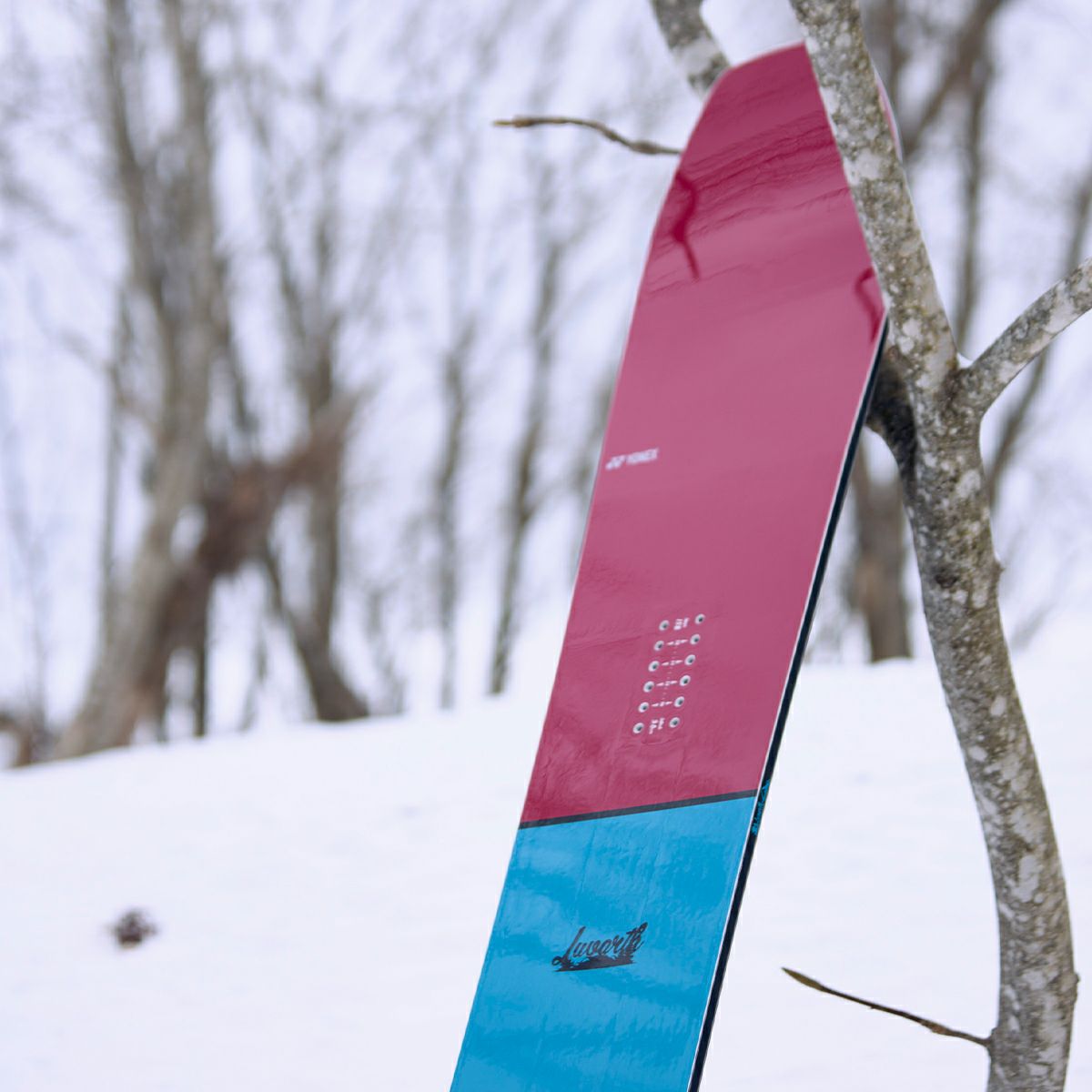ヨネックス YONEX　LUVARTH ラバース　スノーボード板 2025-2026 詳細5