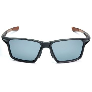 バニーウォーク BUNNY WALK　メンズ 偏光サングラス POLARIZED BW-025 BW-0252F MATTE BLACK＆CLEAR BROWN/SMOKE 詳細2