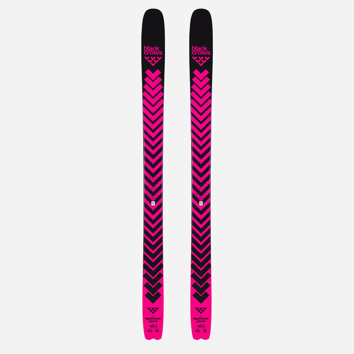 ブラッククロウズ BLACKCROWS　CORVUS コーブス　スキー板 単品 2025-2026 詳細2