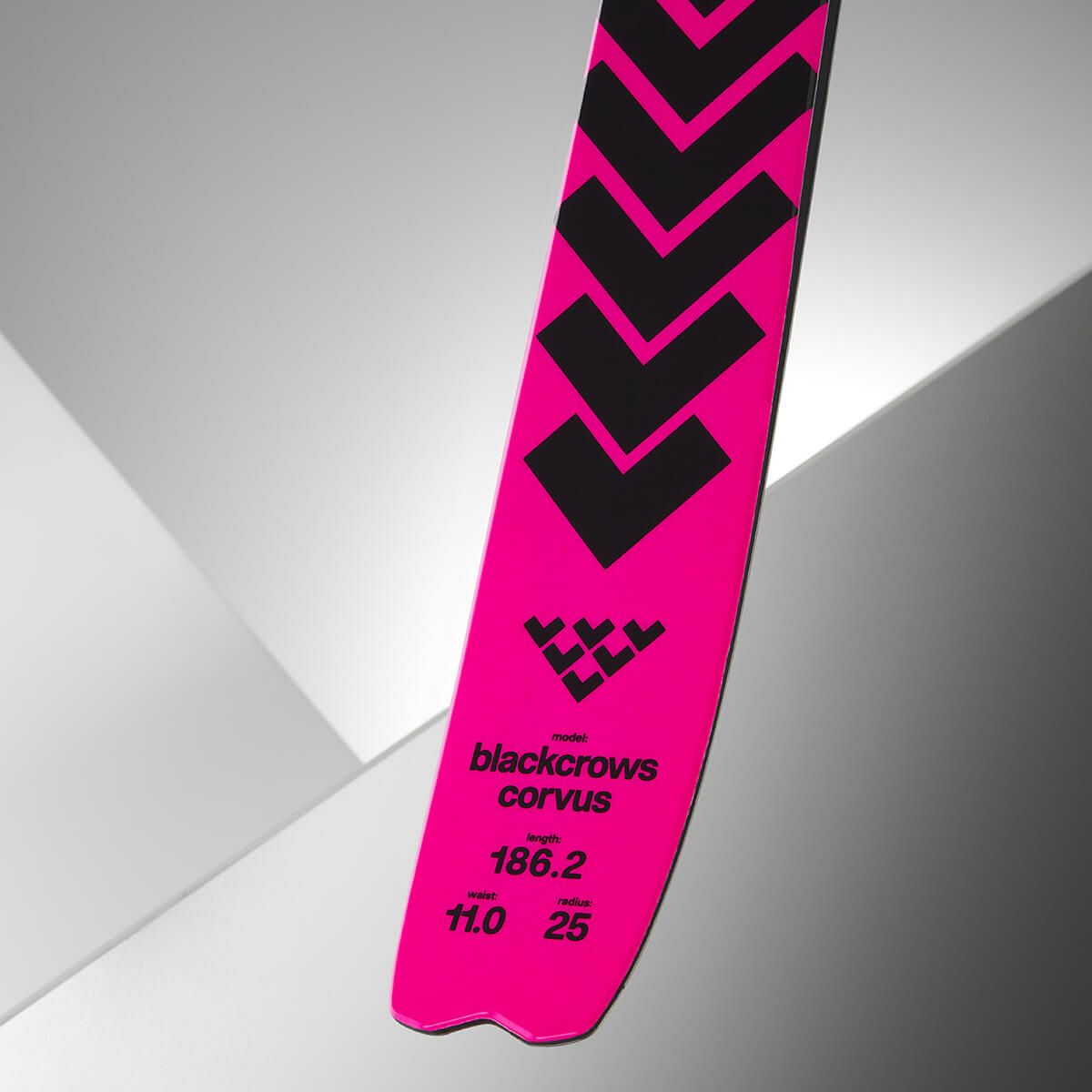 ブラッククロウズ BLACKCROWS　CORVUS コーブス　スキー板 単品 2025-2026 詳細7
