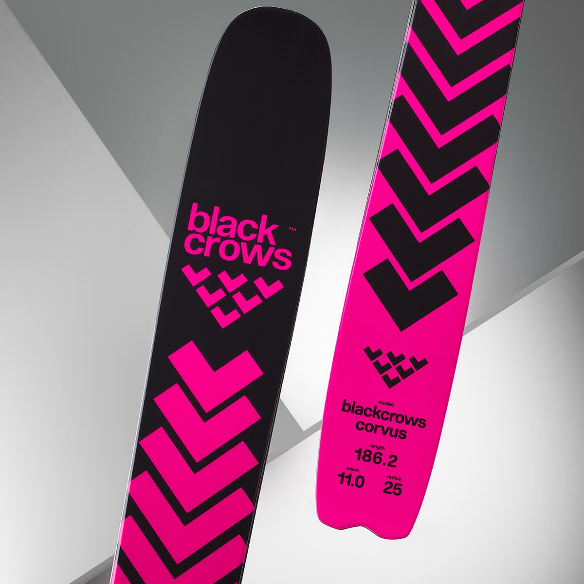ブラッククロウズ BLACKCROWS　CORVUS コーブス　スキー板 単品 2025-2026 詳細8