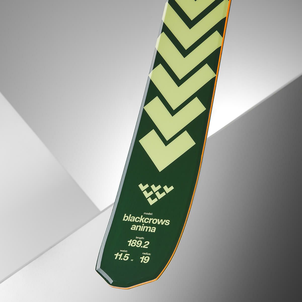 ブラッククロウズ BLACKCROWS　ANIMA アニマ　スキー板 単品 2025-2026 詳細7