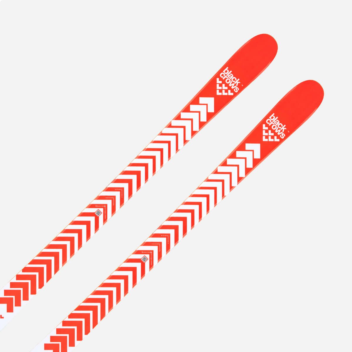 ブラッククロウズ BLACKCROWS　CAMOX BIRDIE カモックス バーディー　スキー板 単品 2025-2026 詳細3