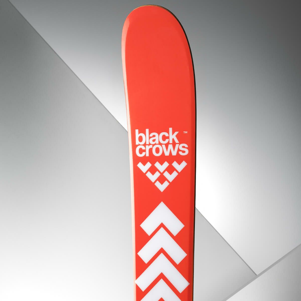 ブラッククロウズ BLACKCROWS　CAMOX BIRDIE カモックス バーディー　スキー板 単品 2025-2026 詳細6