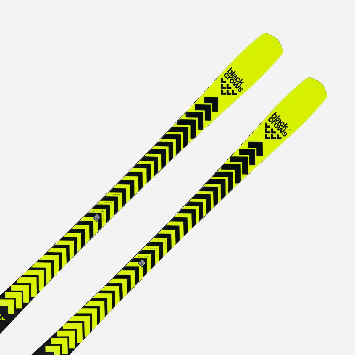 ブラッククロウズ BLACKCROWS　OCTO オクト　スキー板 単品 2025-2026 詳細3