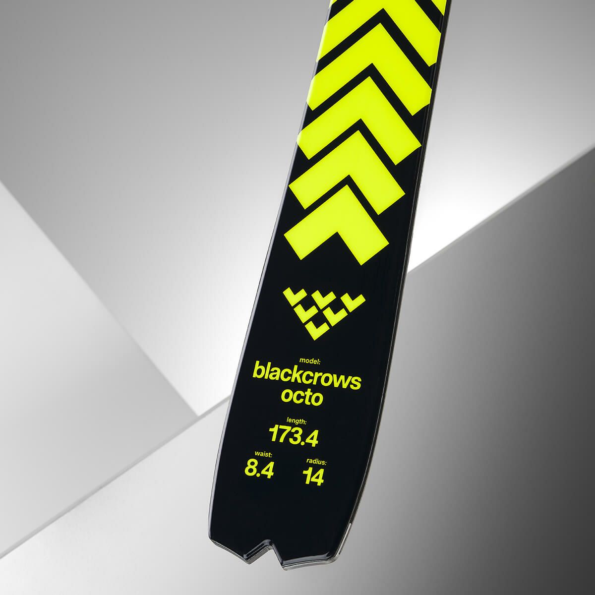 ブラッククロウズ BLACKCROWS　OCTO オクト　スキー板 単品 2025-2026 詳細7