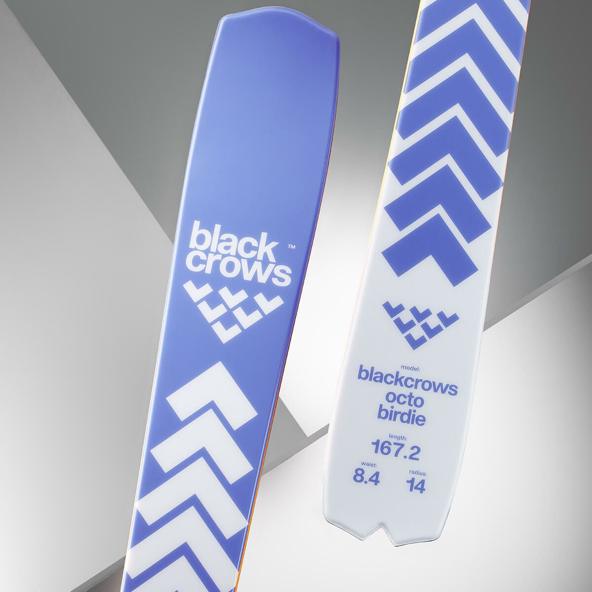 ブラッククロウズ BLACKCROWS　OCTO BIRDIE オクト バーディー　スキー板 単品 2025-2026 詳細8